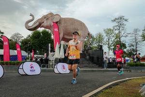 BIB: 
                            <button type="button" onclick="openModal(26528590)" class="btn btn-primary btn-sm float-right btn-popup" data-toggle="modal" data-target=".modal-high-quality">
                        <i class="fas fa-shopping-cart"></i> Add to Cart
                    </button>
                                            <button type="button" onclick="isThisMe(26528590, true)" class="btn btn-success btn-sm float-right btn-popup btn-isme hidden" data-toggle="tooltip" data-placement="bottom" title="นี่คือรูปของคุณใช่ไหม คลิกที่นี่เพื่อเอาเข้าอัลบั้ม">
                        <i class="fas fa-plus"></i> Add to album
                    </button>
                    <button type="button" onclick="isThisMe(26528590, false)" class="btn btn-warning btn-sm float-right btn-popup btn-isnotme hidden">
                        <i class="fas fa-ban"></i> Remove from album
                    </button>